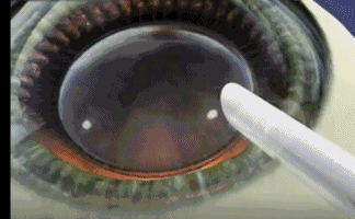 ҪͶôֹۿЩժʽ3.gif